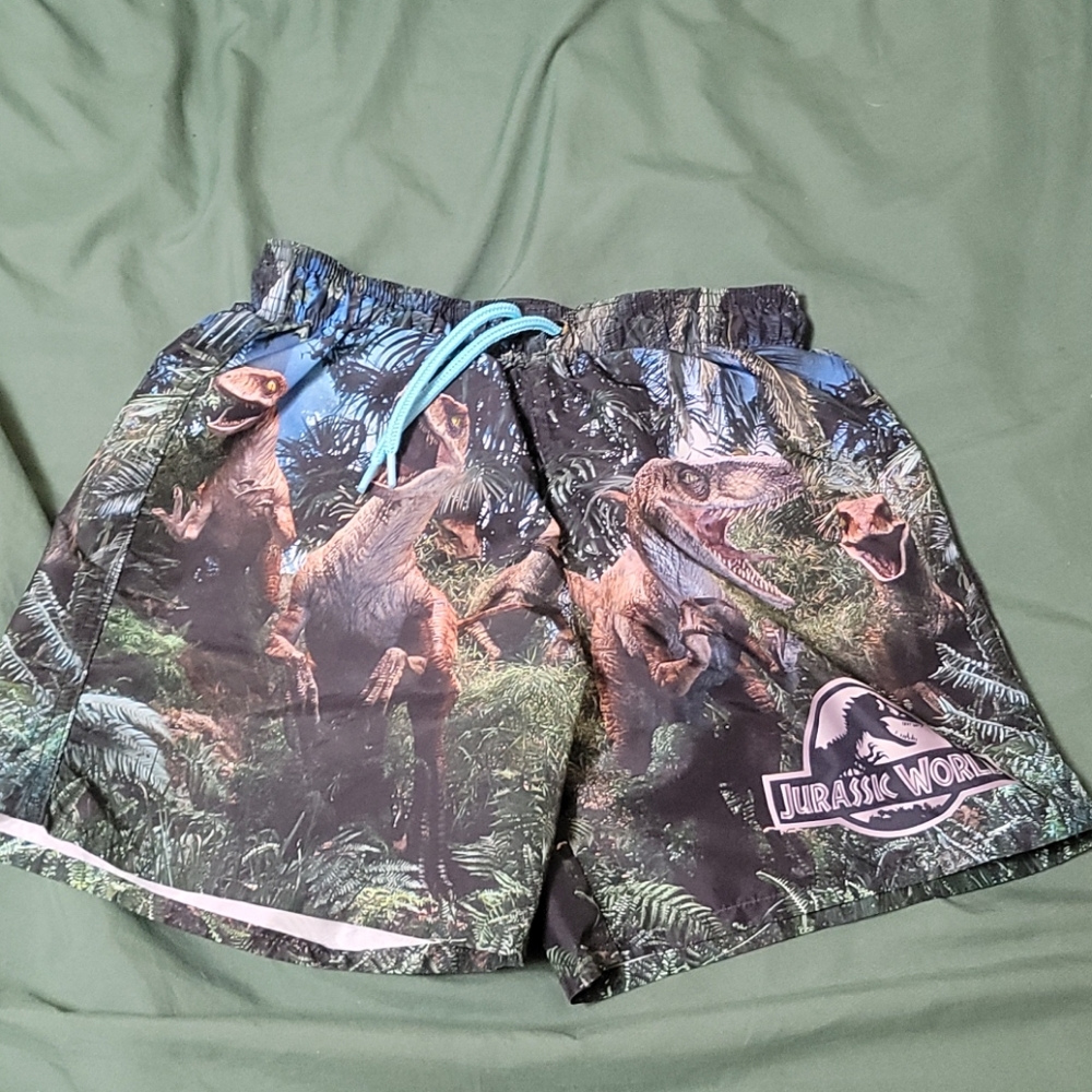 Jurassic World swim shorts